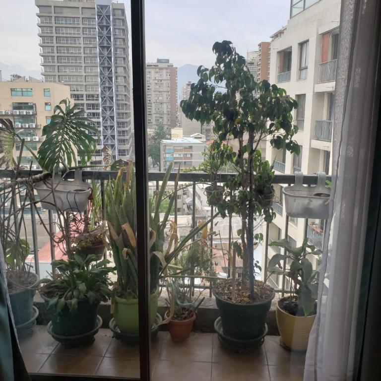 Apart Hotel San Francisco - One-Bedroom Apartment - 1