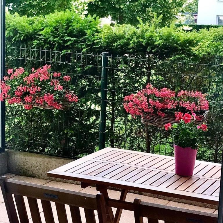Le manala - Appartamento - 7