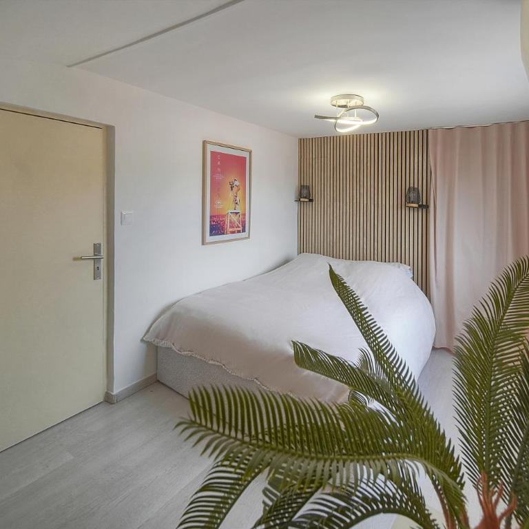 Cannes hyper centre -palais du festival -croisette -quartier historique du suquet - Appartement 1 Chambre - 9