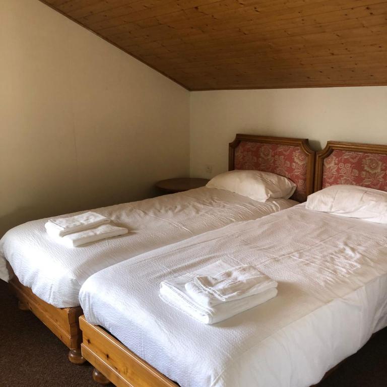 The Vintage at Crans-Montana - Appartement avec Vue et Balcon - 5