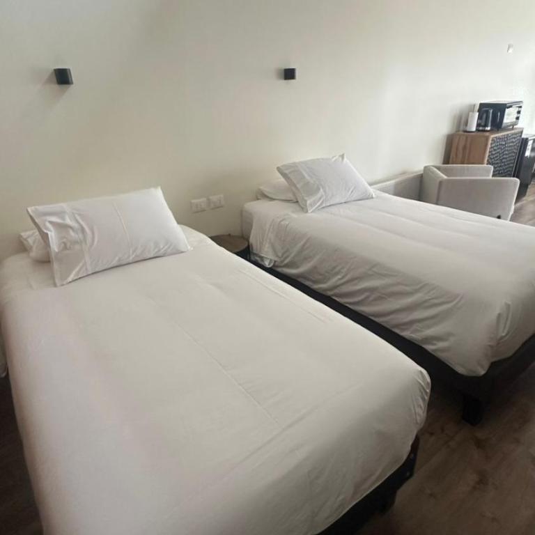 Ignea Loft - One-Bedroom Apartment - 3