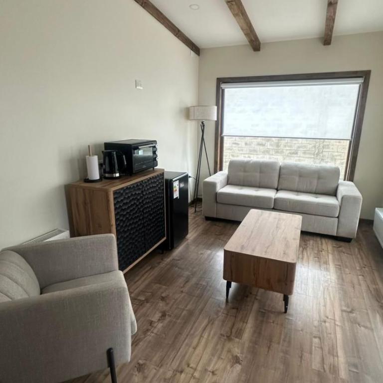Ignea Loft - One-Bedroom Apartment - 4