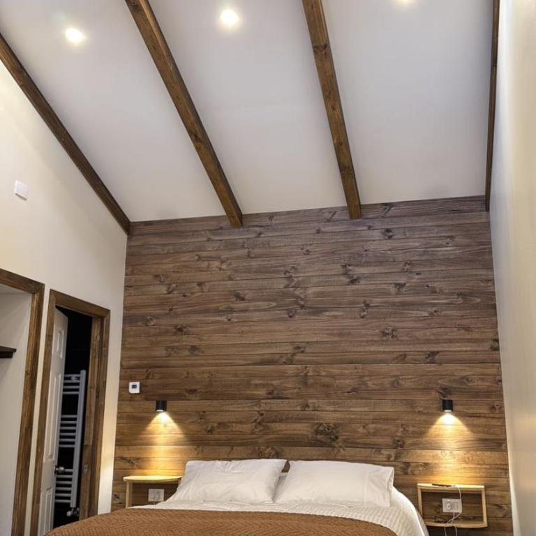 Ignea Loft - One-Bedroom Apartment - 8