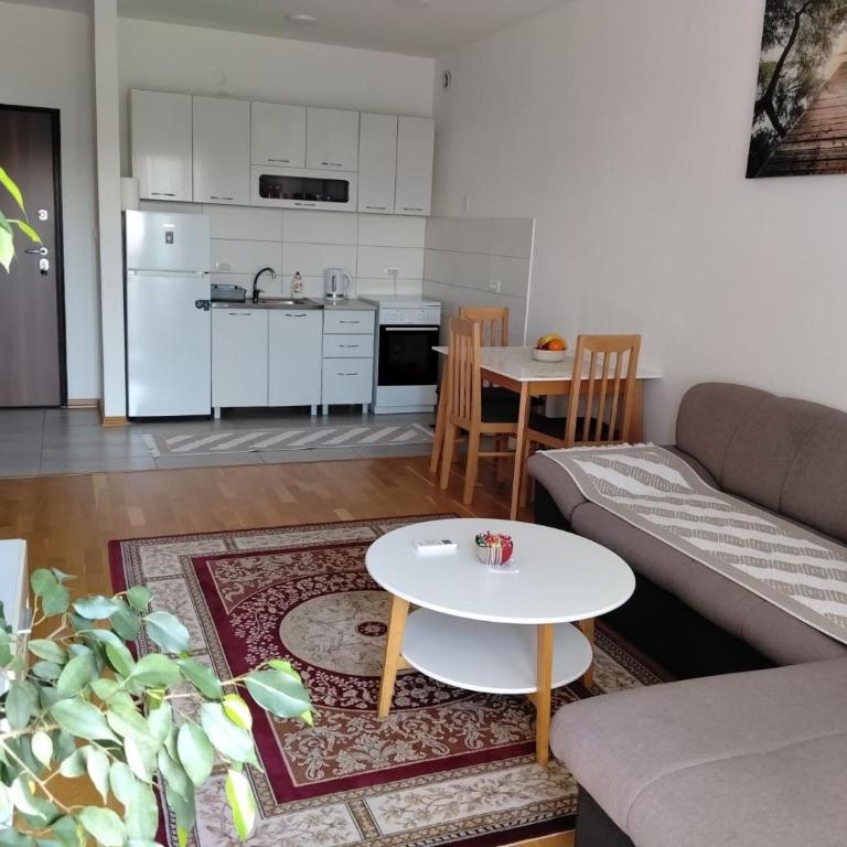 AGA Apartman Podgorica - Apartman sa 1 Spavaćom Sobom - 11
