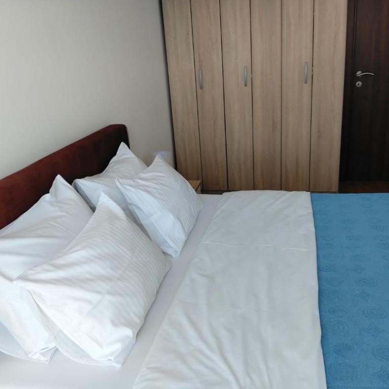 AGA Apartman Podgorica - Apartman sa 1 Spavaćom Sobom - 4