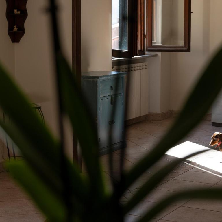 Tra Tetti e Mare - HelloElba - Casa con 3 Camere da Letto - 27