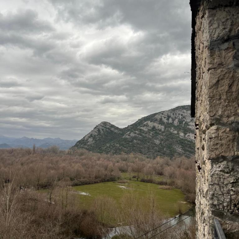 Skadar Lake Stone House - Apartman sa 1 Spavaćom Sobom - 11