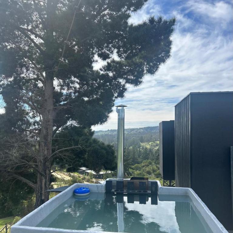Altos del Bosque & Hot Tub Navidad - One-Bedroom House - 3