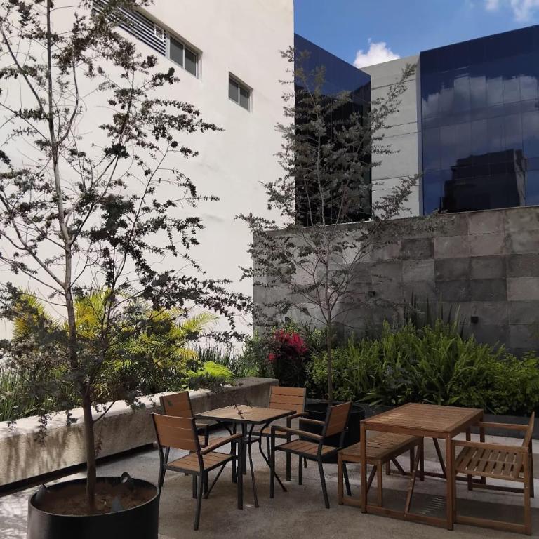 New, spacious, bright view of the Museo del Chopo - Two-Bedroom Apartment - 11