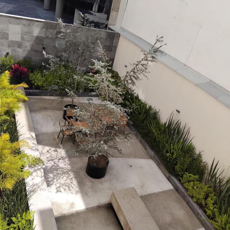 New, spacious, bright view of the Museo del Chopo - Two-Bedroom Apartment - 13