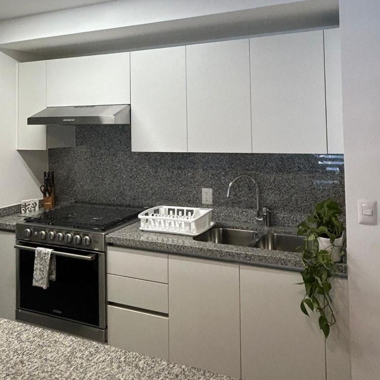 New, spacious, bright view of the Museo del Chopo - Two-Bedroom Apartment - 29