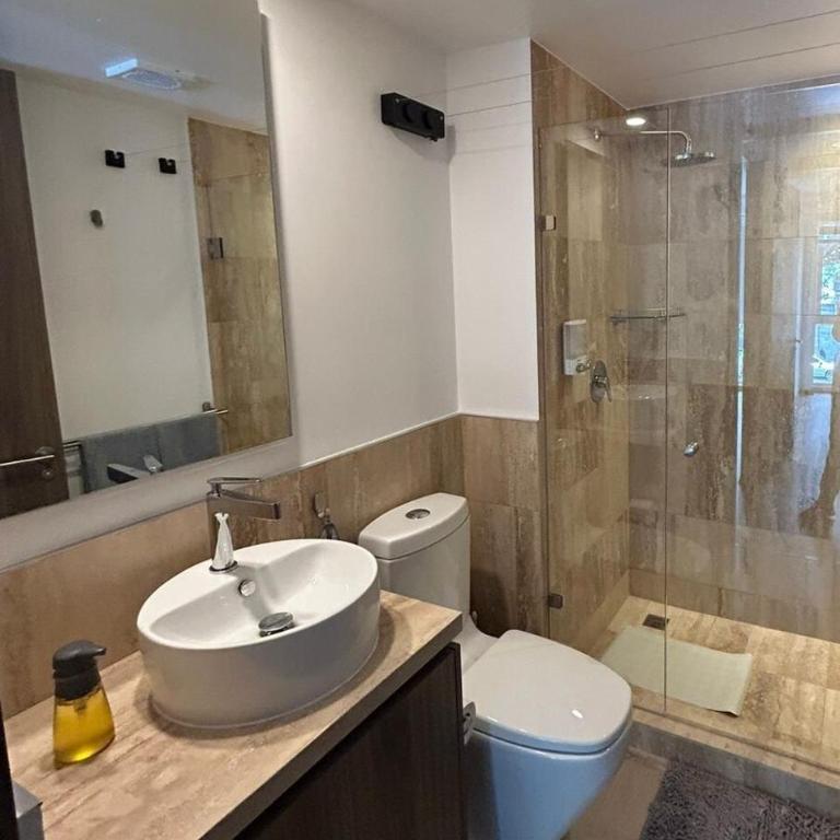 New, spacious, bright view of the Museo del Chopo - Two-Bedroom Apartment - 30
