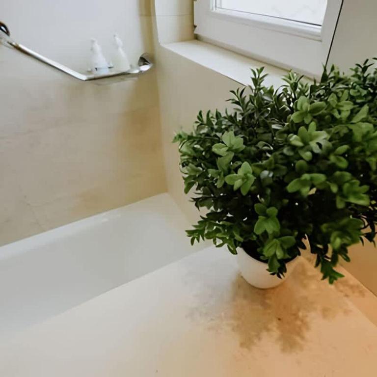 Aunaisin - Fadul 2E - One-Bedroom Apartment - 3