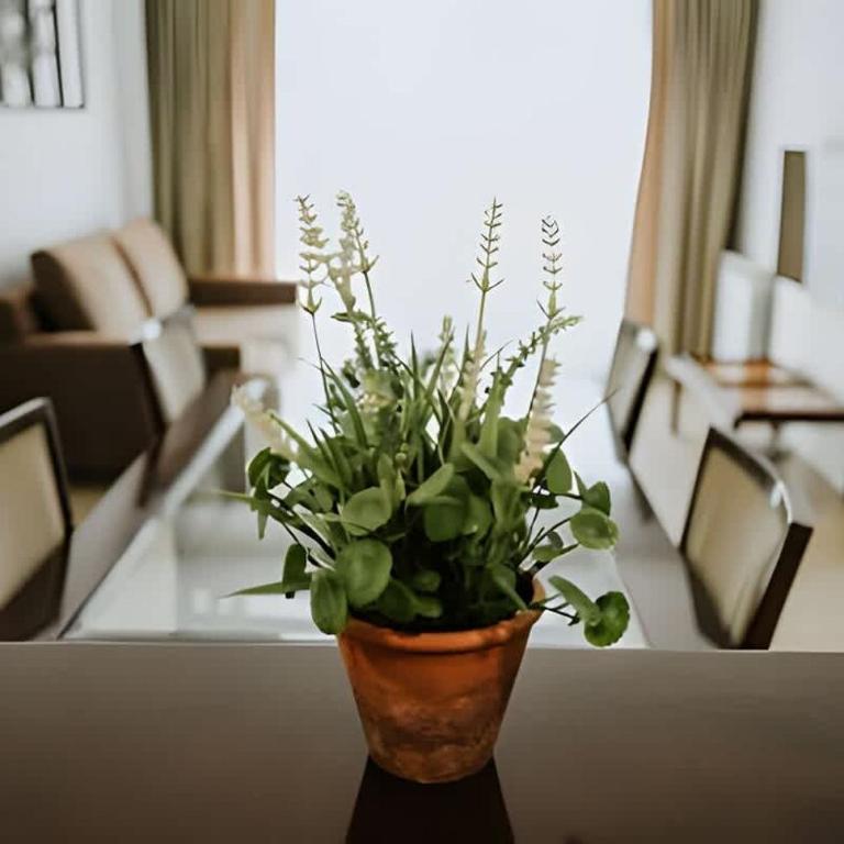 Edificio Fadul - One-Bedroom Apartment - 2