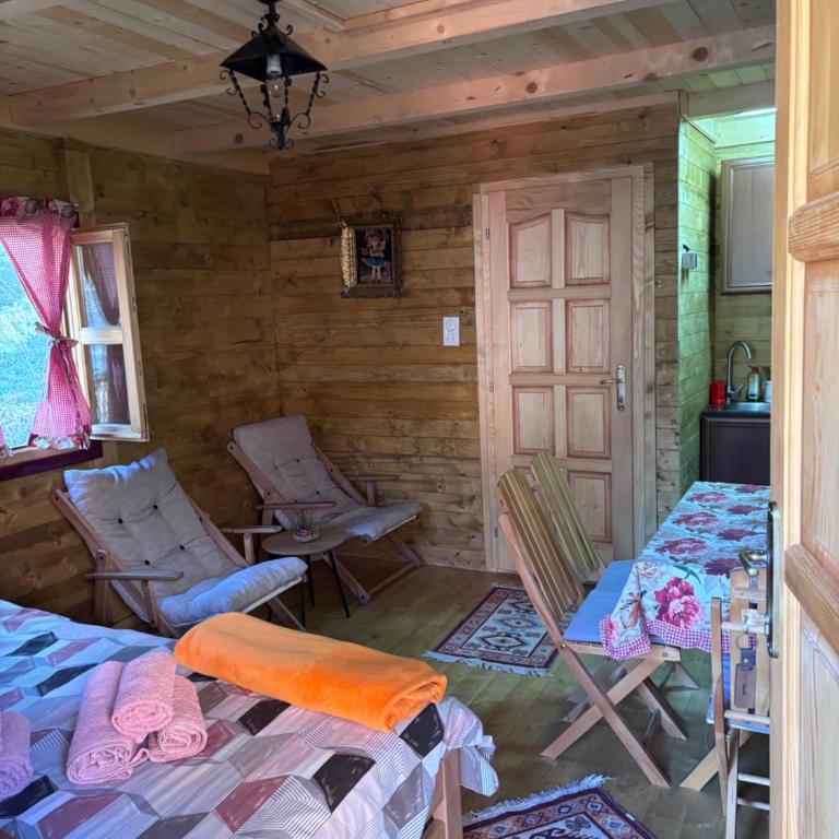 Brvnara Novičić - Apartman sa 1 Spavaćom Sobom - 5