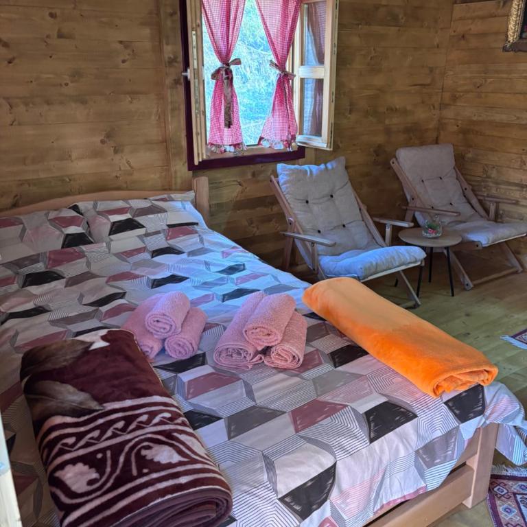 Brvnara Novičić - Apartman sa 1 Spavaćom Sobom - 6