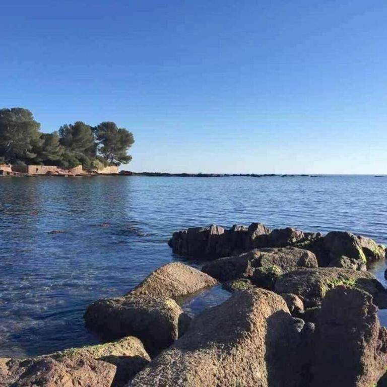 SR090-G1127 Studio 4 personnes SAINT RAPHAËL - Apartment - 19