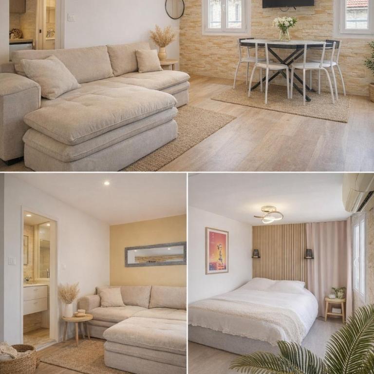 Cannes hyper centre -palais du festival -croisette -quartier historique du suquet - Appartement 1 Chambre - 1