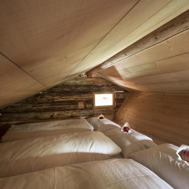 Berghütte Sommerstall - Chalet - 15