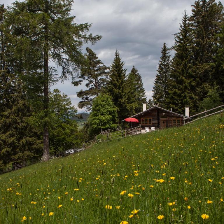 Berghütte Sommerstall - Chalet - 6