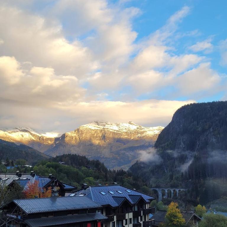 Cozy Bellevue - outdoor, skiing in Les Houches - Appartement 3 Chambres - 10
