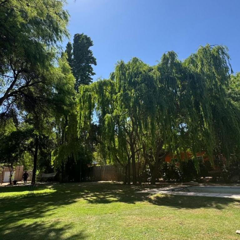 Casa de Campo más Cabaña con Parque y Piscina, rodeada de naturaleza, en Sanagasta, La Rioja - Casa de 3 dormitorios - 3