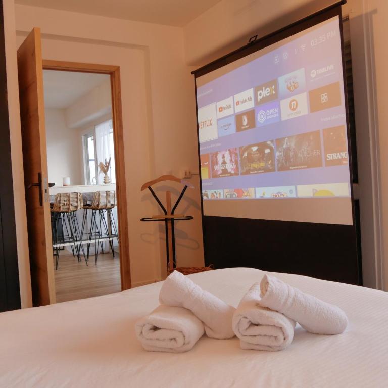 Nancy Centre Congrès et parking gratuit - Appartamento con 2 Camere da Letto - 8