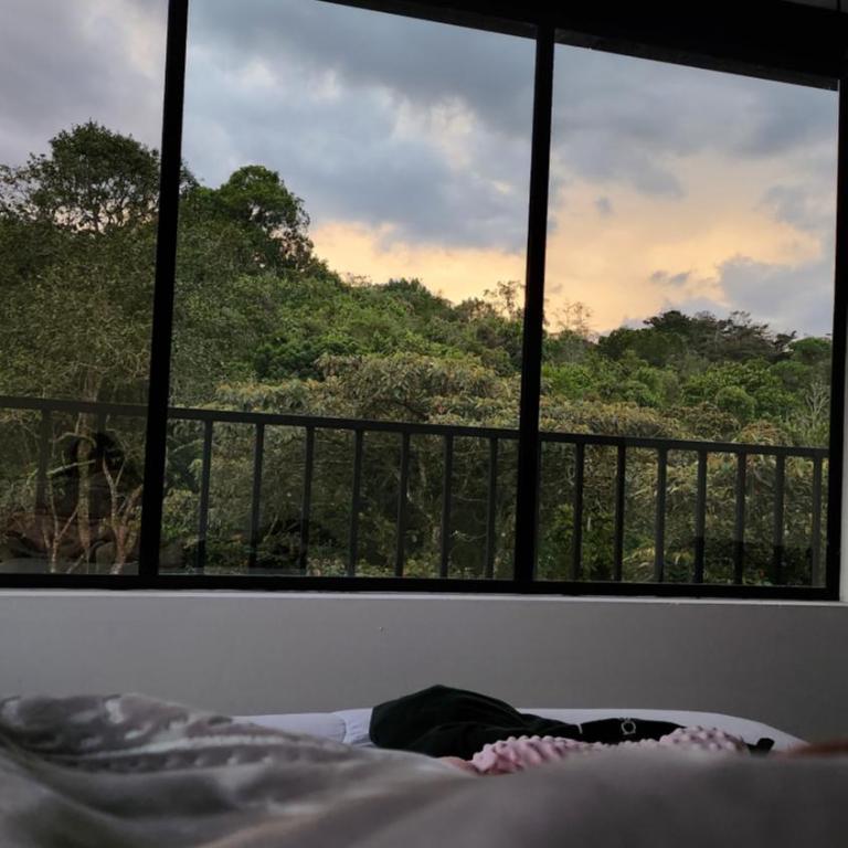 Ventana al bosque - Casa Vacacional de 3 dormitorios - 20
