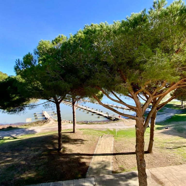 Le Petit Ponant- Studio cosy avec vue sur l'étang et piscine ! - Appartement - 11