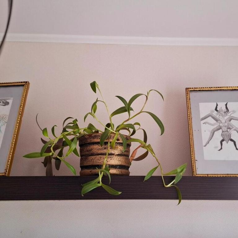 Barranco Full apartment with pool access - Apartamento de 3 dormitorios - 1