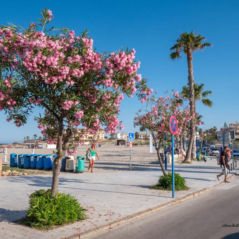 Casa Nueva Familia - Torrevieja - Two-Bedroom Apartment - 15