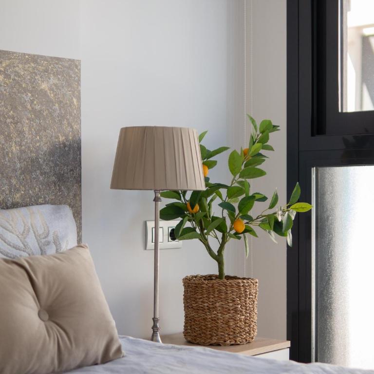 Casa Nueva Familia - Torrevieja - Two-Bedroom Apartment - 22