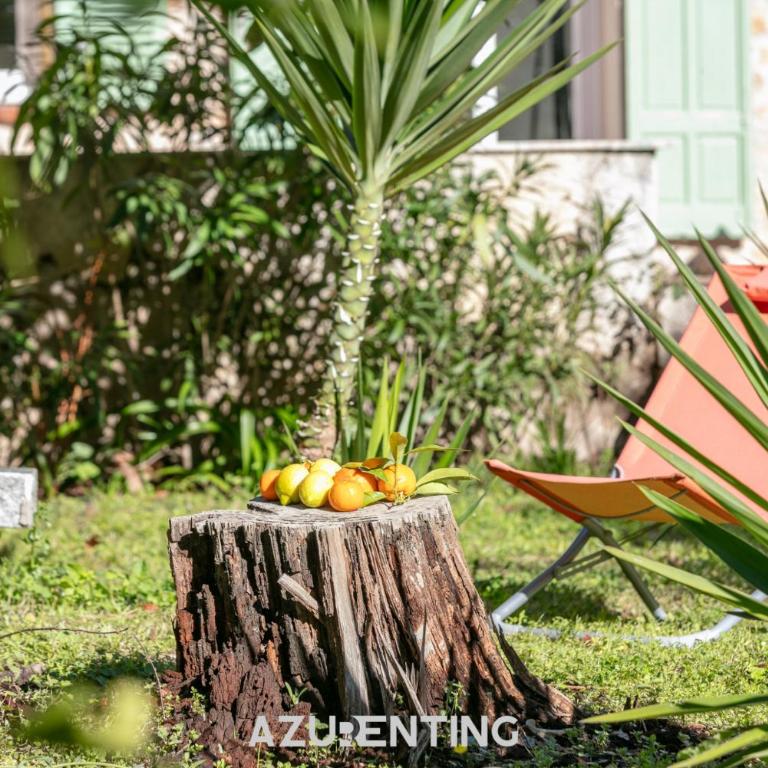 Azurenting - Bastide Solea - 1 chambre - Terrasse - Appartement 1 Chambre avec Terrasse - 22