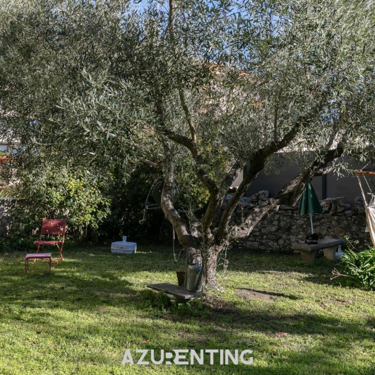 Azurenting - Bastide Solea - 1 chambre - Terrasse - Appartement 1 Chambre avec Terrasse - 24