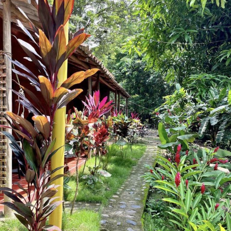 Manigua Tayrona Hostel - Chalet - 12