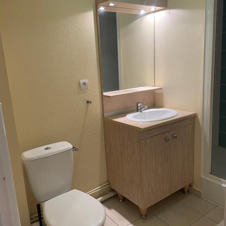 Argentiere - Appartement 1 Chambre - 14