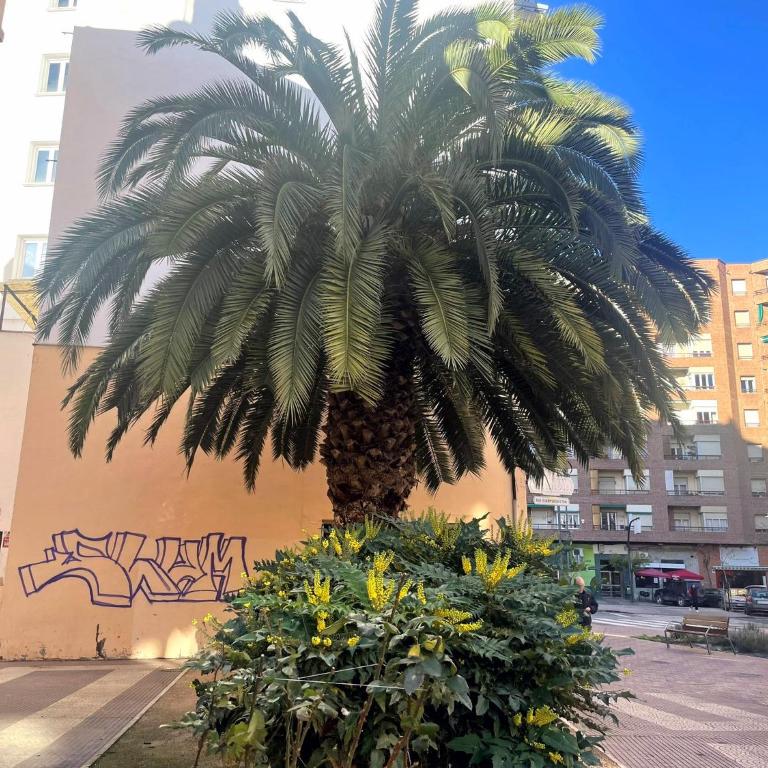Apartamento Oyón - Apartamento de 2 dormitorios - 24