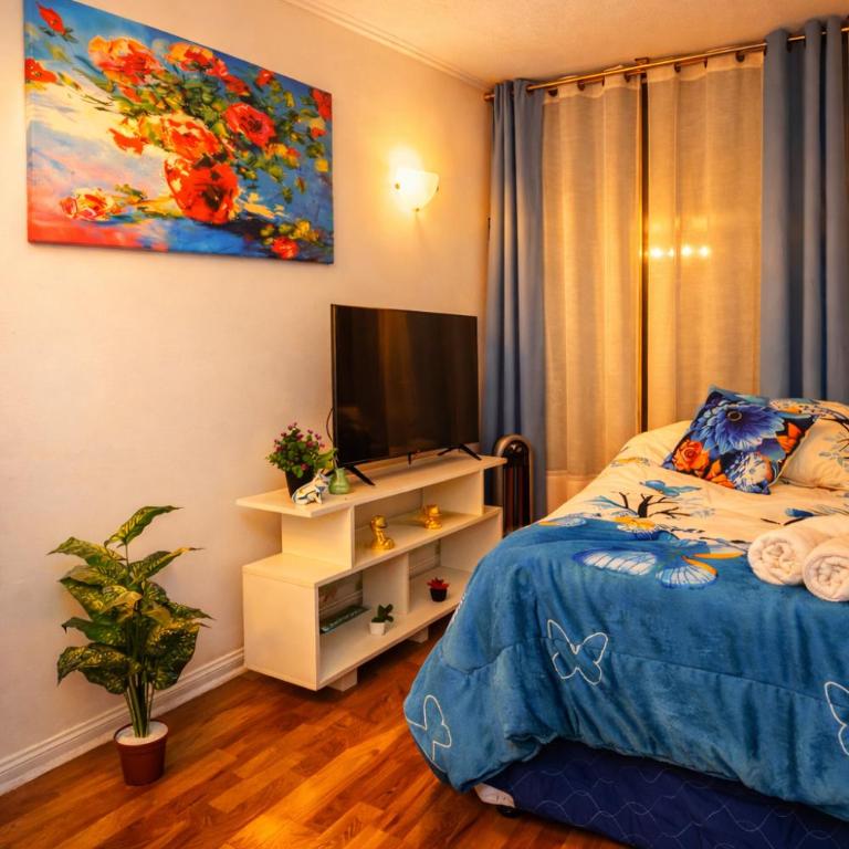 Depto metro Santa Ana 8 (2 dormitorios) - Two-Bedroom Apartment - 15