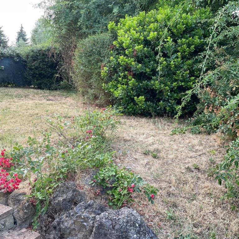 Il Rifugio nel Roseto - Siena - Two-Bedroom Apartment - 2