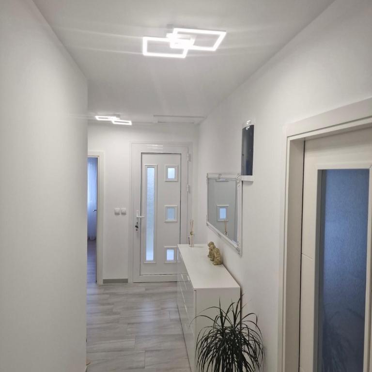 Yes Boss House Divcibare - Vila sa Pogledom na Vrt - 10