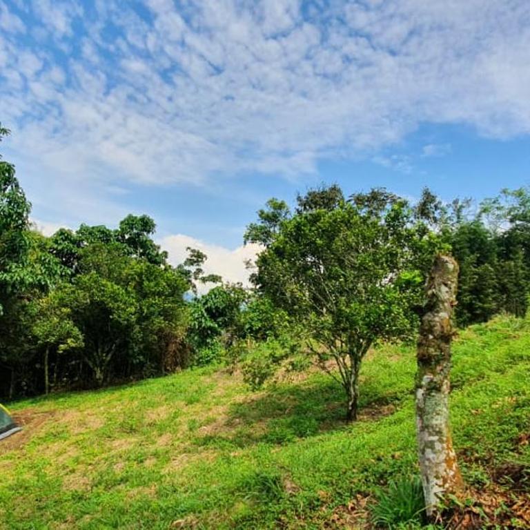 Finca El Trapiche - Casa de 4 dormitorios - 11