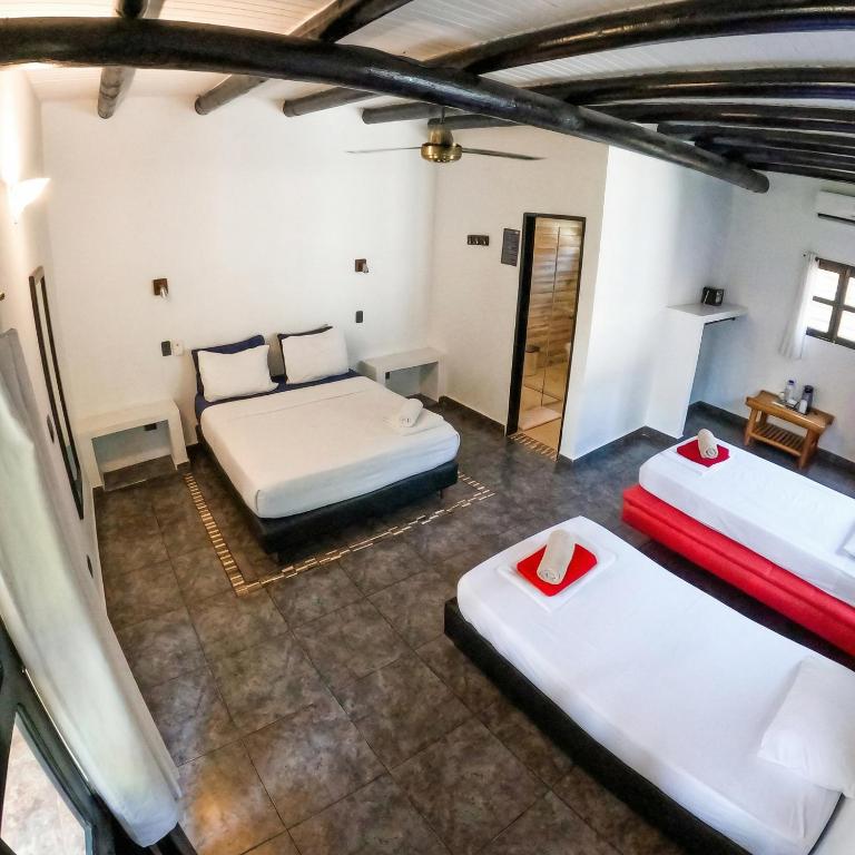 Dreamer Palomino - Habitación Cuádruple Superior - 4