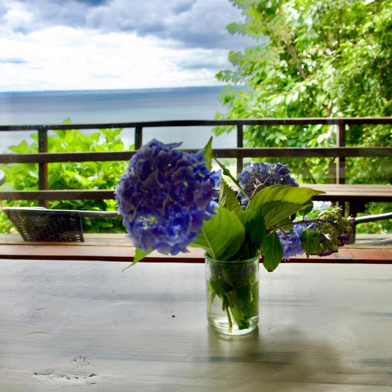 Cabańas Nordicas futrono - Vacation Home - 44