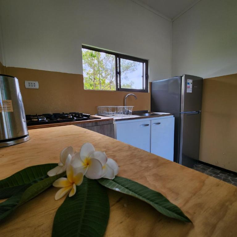 Cabañas Kai Rau Tu - Two-Bedroom House - 9
