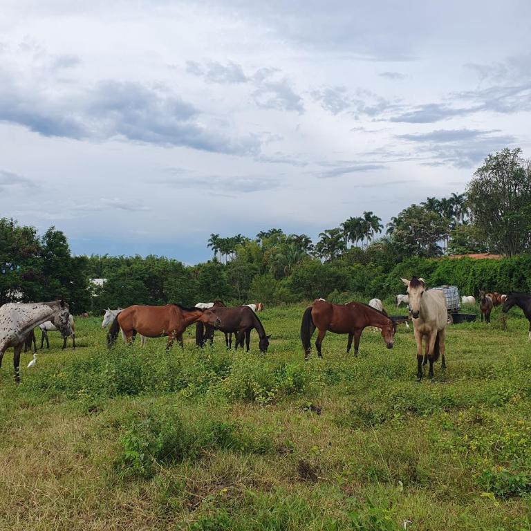 Luxury Villa in Cerritos ride horses nearby - Deluxe Villa - 3