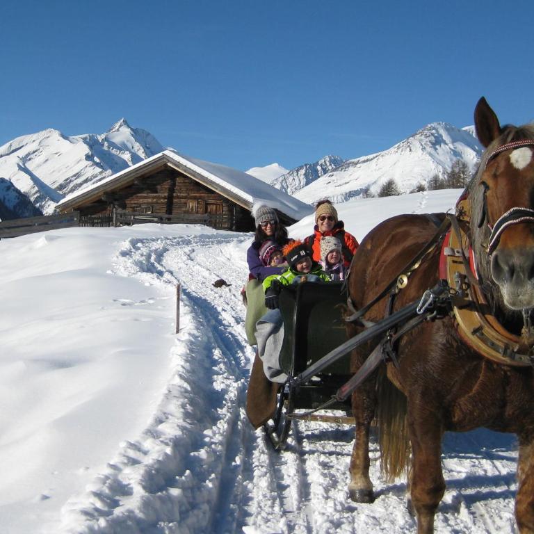 Almhütte Adlerhorst - Haus mit 3 Schlafzimmern - 27