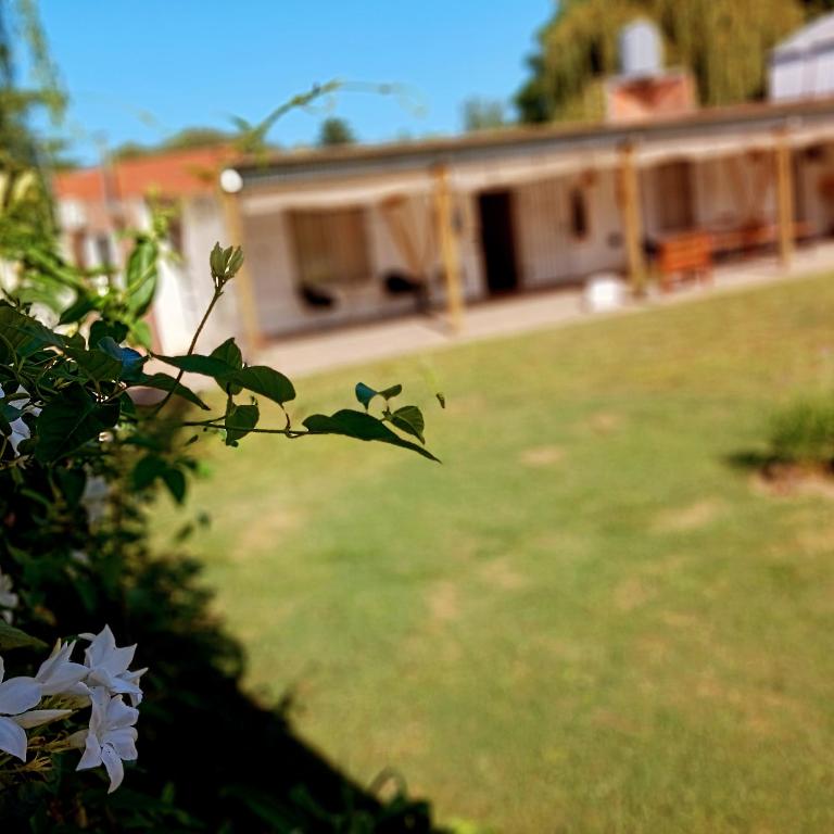 Lodemabel - Casa de 2 dormitorios - 4