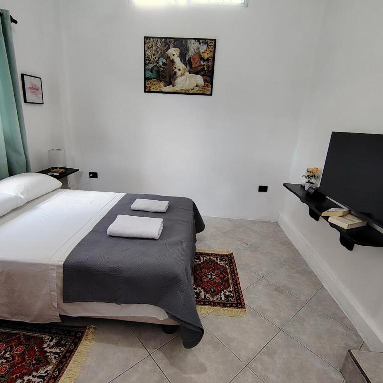 Galápagos Islands-Apartment in Santa Cruz - One-Bedroom Apartment - 2