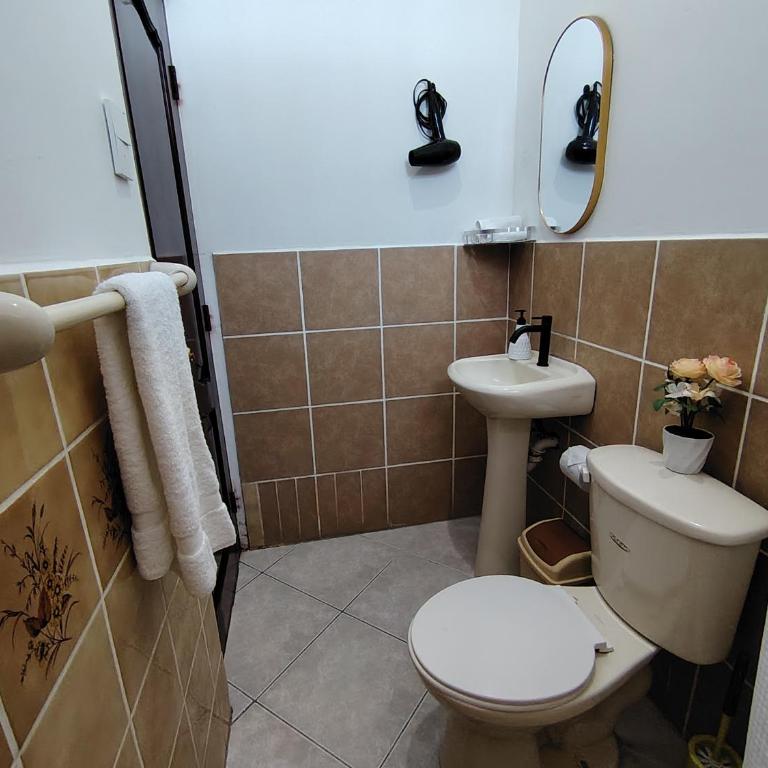 Galápagos Islands-Apartment in Santa Cruz - One-Bedroom Apartment - 6