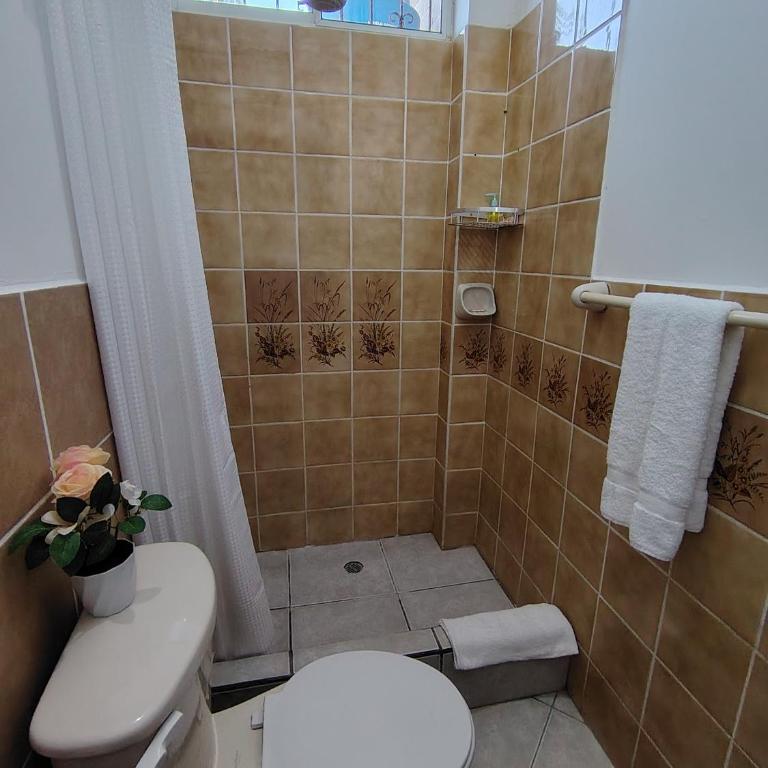 Galápagos Islands-Apartment in Santa Cruz - One-Bedroom Apartment - 7